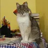 Отзыв от Ольга Куликова